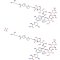 Bleomycin Sulfate, USP, 10 mg