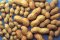 Agitest Food Allergen Rapid Test - Peanut