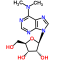 6-Dimethylamino-9-(b-D-ribofuranosyl)purine, 1 g