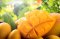 Agitest Food Allergen Rapid Test - Mango