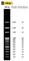 100 bp DNA Ladder Marker ,100μg/ml,0.5ml