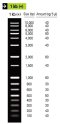 1 kb (+) DNA Ladder Marker ,150μg/ml,0.5ml