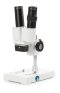 50.890 Binocular stereo microscope AP-1, head with straight tubes