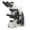 DX.2053-PLi Delphi-X Observe for anatomopathology, trinocular microscope with SWF 10x/25 mm Ø 30 mm eyepieces