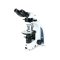 IS.1052-PLAi iScope binocular microscope with EWF 10x/22 mm eyepieces, plan polarization PLPOLi