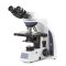 IS.1152-PLi/SLC iScope binocular microscope with EWF 10x/22 mm eyepieces