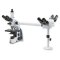 IS.1156-PLi3 iScope trinocular multihead microscope with 2 extra binocular heads, EWF 10x/20 mm eyepieces, plan PLi