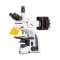 IS.3153-PLFi/6 iScope trinocular microscope with EWF 10x/22 mm eyepieces, plan PLi Fluarex