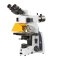IS.3153-PLi/TB iScope trinocular microscope with EWF 10x/22 mm eyepieces, plan PLi