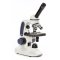 Novex Junior LED EVO microscope
