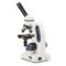 Novex Junior LED EVO microscope