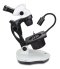 NZ.1702-GEML Binocular stereo zoom microscope NexiusZoom EVO