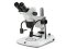 NZ.1702-PG Binocular stereo zoom microscope NexiusZoom EVO