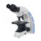 OX.3030 Binocular Oxion microscope with plan PL 4/10/S40/S100x oil IOS objectives