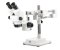 SB.1703-B Trinocular stereo zoom microscope StereoBlue