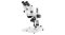 SB.1703-P Trinocular stereo zoom microscope StereoBlue EVO