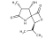 clasto-Lactacystin b-lactone