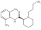 L-Bupivacaine
