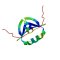 CXCL12β, Murine