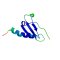 CXCL14, Murine