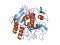Proteinase K, RNase/DNase free
