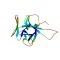 IL33, Murine