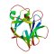 IL36A (IL-36 alpha), Murine (160 a.a.)