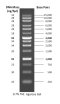 1 kb PLUS™ DNA Ladder