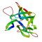 IL36G (IL-36 gamma), Human (152 a.a.)