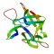 IL36G (IL-36 gamma), Human (169 a.a.), 10 ug