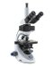 B-293LD1, LED Fluorescence Microscopes