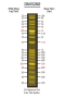 FluoroBand™ 1 KB Plus (0.1-10 kb) Fluorescent DNA Ladder, 500 μl