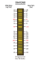 FluoroBand™ XL 25 kb Fluorescent DNA Ladder, Broad Range (up to 25 kb), 500 μl