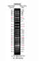 ExcelBand™ Super Range DNA Ladder (50 bp-25 kb), 500 μl