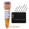 ExcelTaq™ 5X Blood Direct PCR Master Mix Kit, 200 RXN