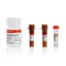 TRAP staining kit, 50 T (for Bone staining)