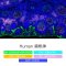 TSAPLus Fluorescent 4-color 5-plex Staining Kit, 50T