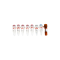 TMR (red) Tunel Cell Apoptosis Detection Kit