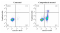 Annexin V-IF647/PI Cell Apoptosis Detection Kit