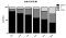 Cell Cycle and Apoptosis Kit 50T