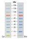 Protein marker (10-180 kDa), 250 μL