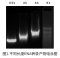 T7 High Yield Transcription Kit, 50 T (for RNA Synthesis)