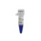 GN15K DNA Marker