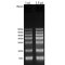 RNA Marker 6000, 25 μL