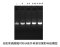 Inorganic Pyrophosphatase (Thermostable), 200 U
