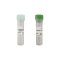 Bsu DNA polymerase, Large Fragment, 250 U