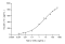 Recombinant Rat IL-17A Protein (His-tag)