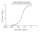 Recombinant Human CD19 Protein (His-tag)