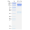 Recombinant Human IGF1R Protein (His-tag)