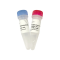 Phi29 MAX DNA Polymerase N106